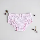 Elderberry Infused Panties