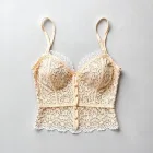 Vintage Lace Bustier