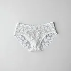 Vintage Lace Briefs