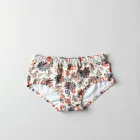 Vintage Printed Briefs
