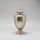 Classic Silver Urn