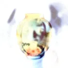 Sculpted Glass Vase