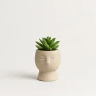Charming Succulent Vase