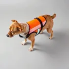 Reflective Dog Vest