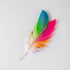 Colorful Feather Art