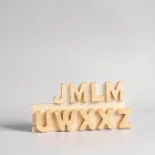 Wooden Alphabet Puzzle