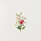 Botanical Garden Print