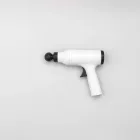 Waverly Classic Massage Gun — 4kg