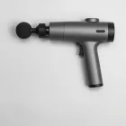 Waverly Deluxe Massage Gun — 4kg