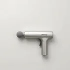 Waverly Essential Massage Gun — 4kg