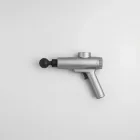 Waverly Signature Massage Gun — 4kg