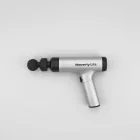 Waverly Elite Massage Gun — 4kg