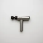 Waverly Heritage Massage Gun — 4kg
