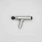 Waverly Modern Massage Gun — 4kg