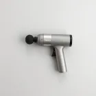Waverly Original Massage Gun — 4kg