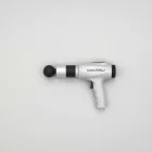Waverly Advanced Massage Gun — 4kg