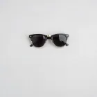 Wayfarer Classic Sunglasses
