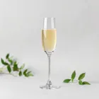 Champagne Flutes Set