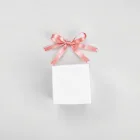 Wedding Favors Gift Box