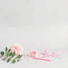 Bridal Shower Party Supplies