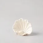 Seashell Place Card Holders