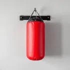 Wall Mounted Heavy Bag