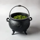 Witch's Cauldron
