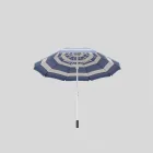 Windy Coastal Beach Umbrella