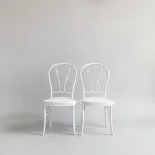 Bride and Groom Chairs