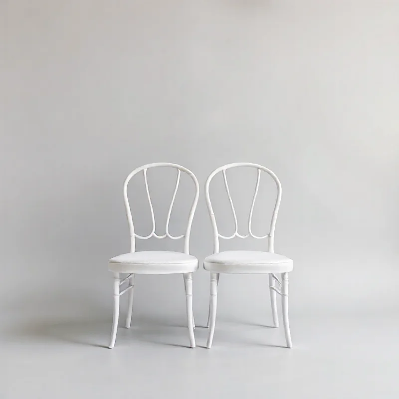Bride and Groom Chairs
