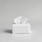 Wedding speech tissue packets