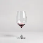 Elegant Wine Glass Set