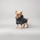 Dog Winter Jacket