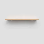 Wall-Mounted Shelf