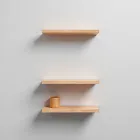Wall-Mounted Shelves