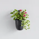 Wall Mounted Garden Planter