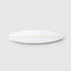 Wave Warrior Surfboard