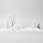 Winter Wonderland Scene