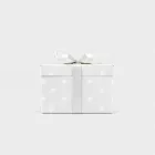 Giant Christmas Present